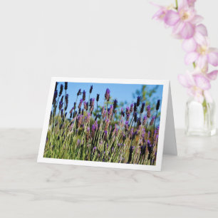 Wilder Lavendelblauer Himmel Porträt Karte