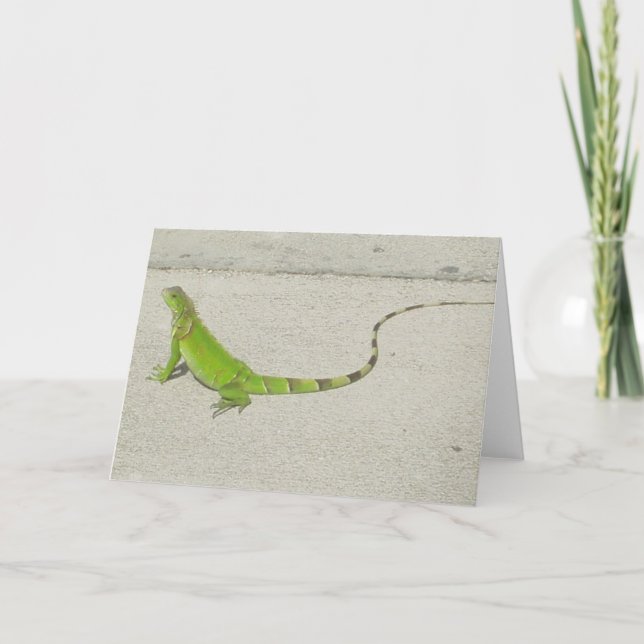 Wilder Leguan Karte (Vorderseite)