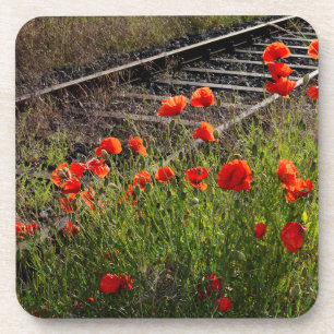 Wilder Mohn Getränkeuntersetzer