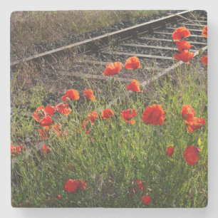 Wilder Mohn Steinuntersetzer