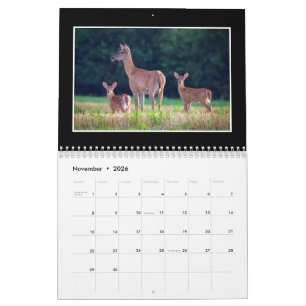 Wilder Monats Kalender Von Tom MIinutolo
