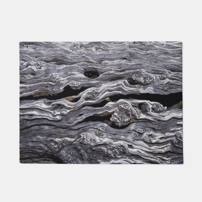 Wilder Olivenbaum| Great Karoo, Südafrika Fußmatte (Vorderseite)