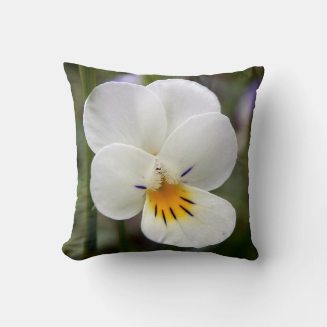 Wilder Pansy-Wurfs-Kissen Kissen (Vorderseite)