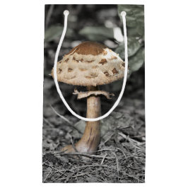Wilder Pilz (Toadstool) Kleine Geschenktüte