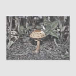 Wilder Pilz (Toadstool) Seidenpapier