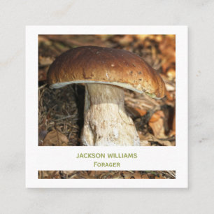 Wilder Pilz Wildkräutersucher  Foto Quadratische Visitenkarte