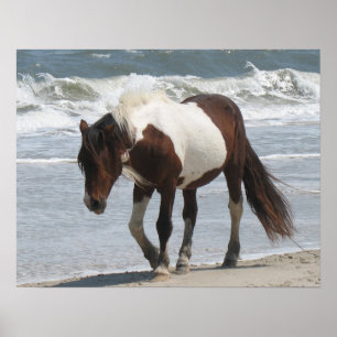 Wilder Pony-Plakat-Druck Poster