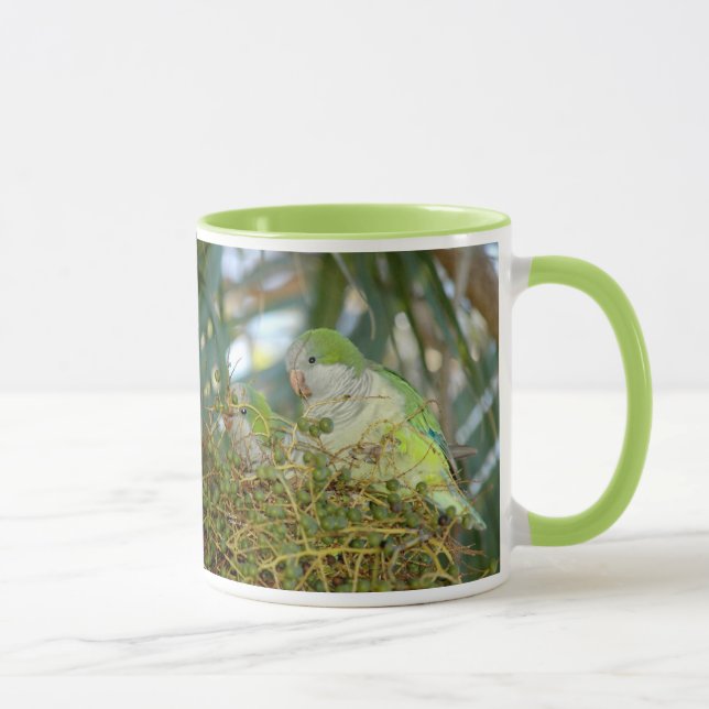 Wilder Quäker plappert Tasse nach (Rechts)