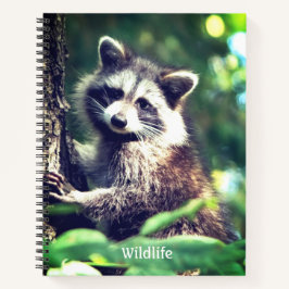 Wilder Raccoon auf dem Dschungel Notizbuch