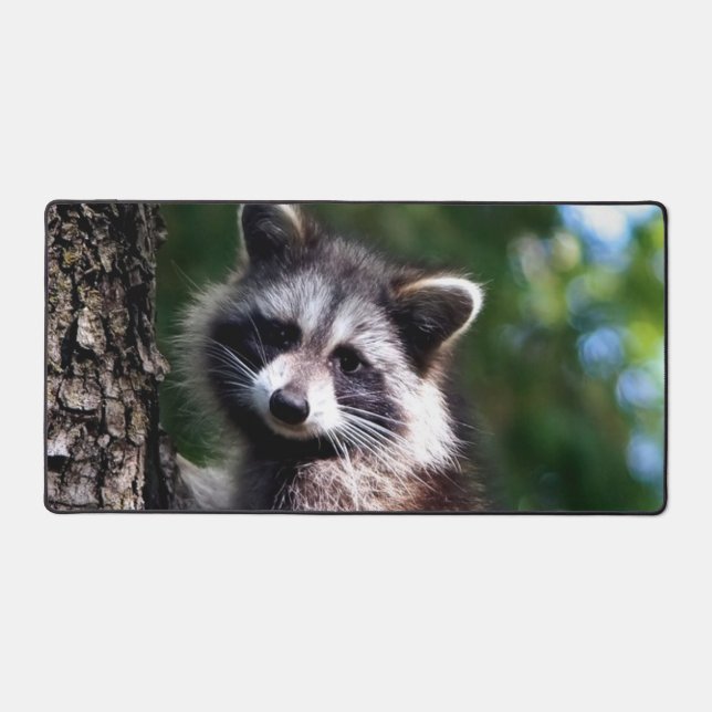 Wilder Raccoon im Dschungel Schreibtischunterlage (Vorderseite)