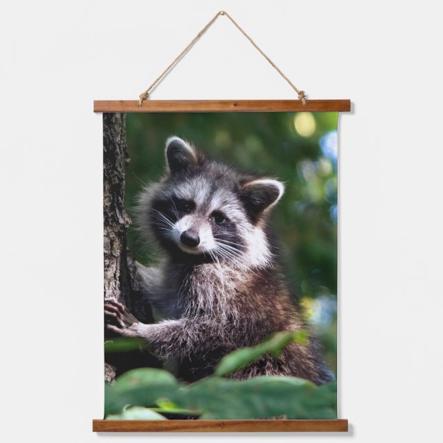 Wilder Raccoon im Wald Wandteppich Mit Holzrahmen (Vorderseite)