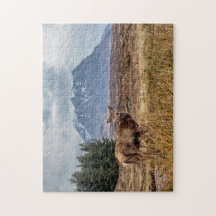 Wilder Rotstag in Glencoe Schottland