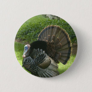 Wilder runder Knopf der Türkei Button