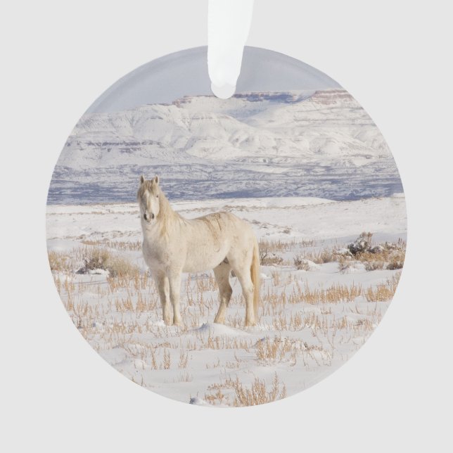 Wilder Schneehengst Ornament (Vorderseite)