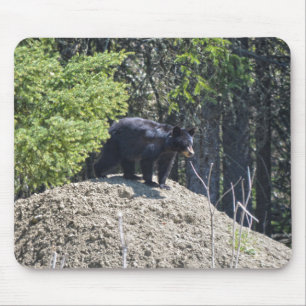 Wilder Schwarzbär Cub & Mud Hill Wildlife Foto Ges Mousepad