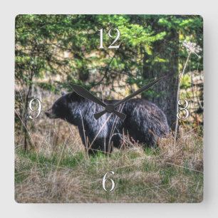 Wilder Schwarzbär und Wald Foto Wildtiere Uhr