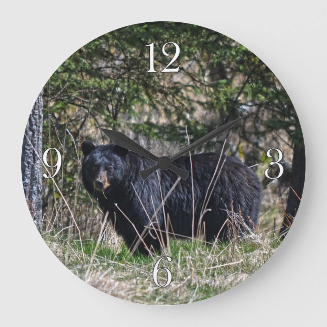 Wilder Schwarzbär und Wald Foto Wildtiere Uhr (Vorderseite)