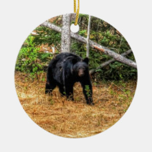 Wilder Schwarzbär & Yukon Forest Foto Kunst, Dicht Keramikornament