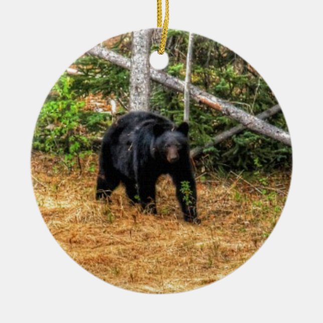 Wilder Schwarzbär & Yukon Forest Foto Kunst, Dicht Keramikornament (Vorne)