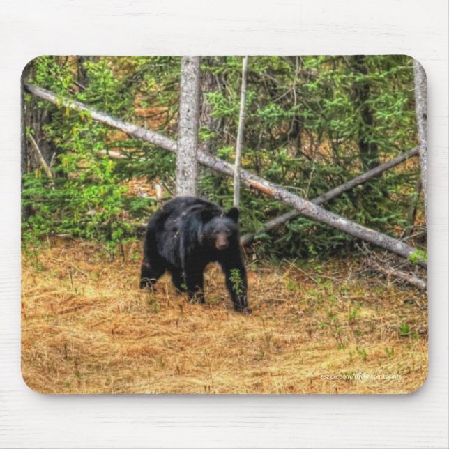 Wilder Schwarzbär & Yukon Forest Foto Kunst, Dicht Mousepad (Vorne)