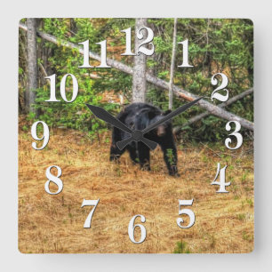 Wilder Schwarzbär & Yukon Forest Foto Kunst, Dicht Quadratische Wanduhr