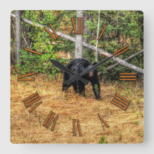 Wilder Schwarzbär & Yukon Forest Foto Kunst, Dicht Quadratische Wanduhr
