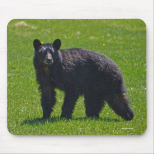 Wilder Schwarzer Bär und Gras Wildlife Foto Mousepad