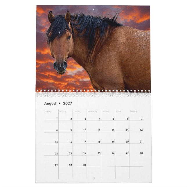 Wilder Sitzungskalender 2022 Kalender (Aug 2027)