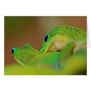 Wilder sorgloser romantischer Seitenspaß