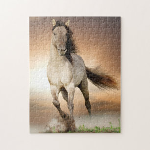 Wilder Stallion, der in Sonnenuntergang läuft