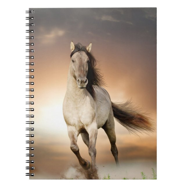 Wilder Stallion, der in Sonnenuntergang läuft Notizblock (Vorderseite)