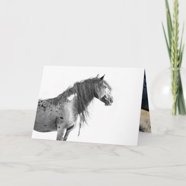Wilder Stallion der Roten Wüste - Grußkarte Dankeskarte (Vorderseite)