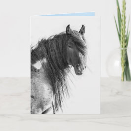 Wilder Stallion der Roten Wüste - Grußkarte Karte