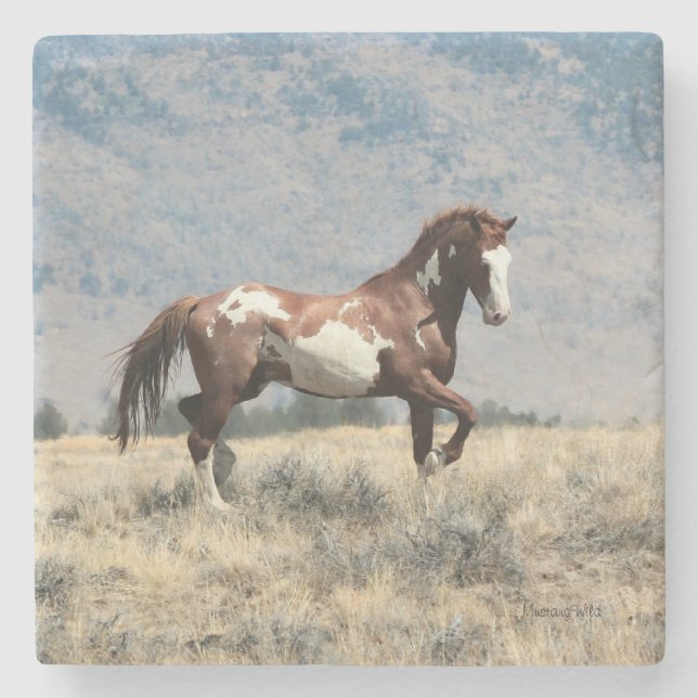 Wilder Stallions-Untersetzer Steinuntersetzer (Vorderseite)