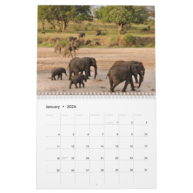 Wilder Tansania-Kalender Kalender (Jan 2026)