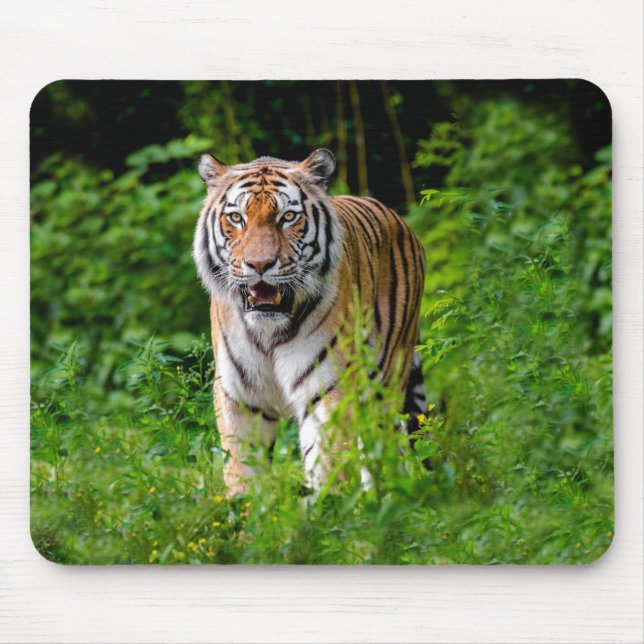 Wilder Tiger im Dschungel Mousepad (Vorne)