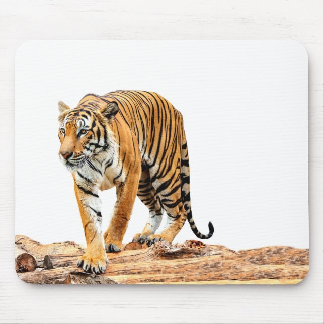 Wilder Tiger im Protokoll Mousepad (Vorne)