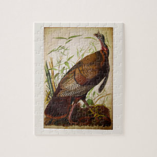 Wilder Truthahn, John James Audubon Fine Art