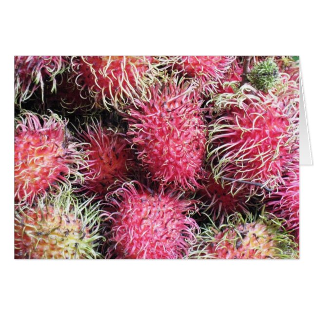Wilder und Wooly Rambutan (Vorderseite (Horizontal))