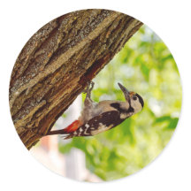 Wilder Vogel Grüner Blattreicher Hintergrund Foto