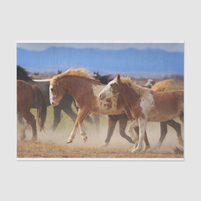 Wilder Western Pferd-Bucking Seidenpapier (Vorderseite)