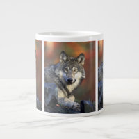 wilder Wolf