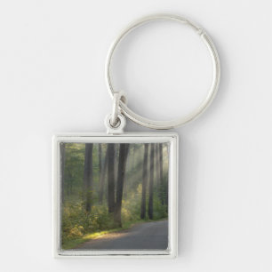 Wilderness Drive, Itasca Staat Park, Schlüsselanhänger