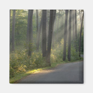 Wilderness Drive, Itasca State Park, Magnet