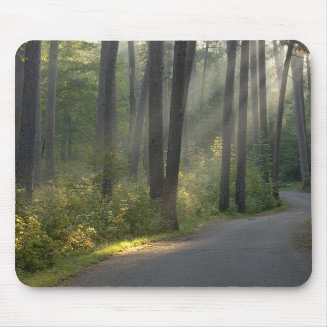 Wilderness Drive, Itasca State Park, Mousepad (Vorne)