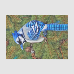 Wilderness Evergreen Blue Jay Seidenpapier