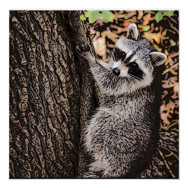 Wilderness Wild Raccoon Poster (Vorderseite)