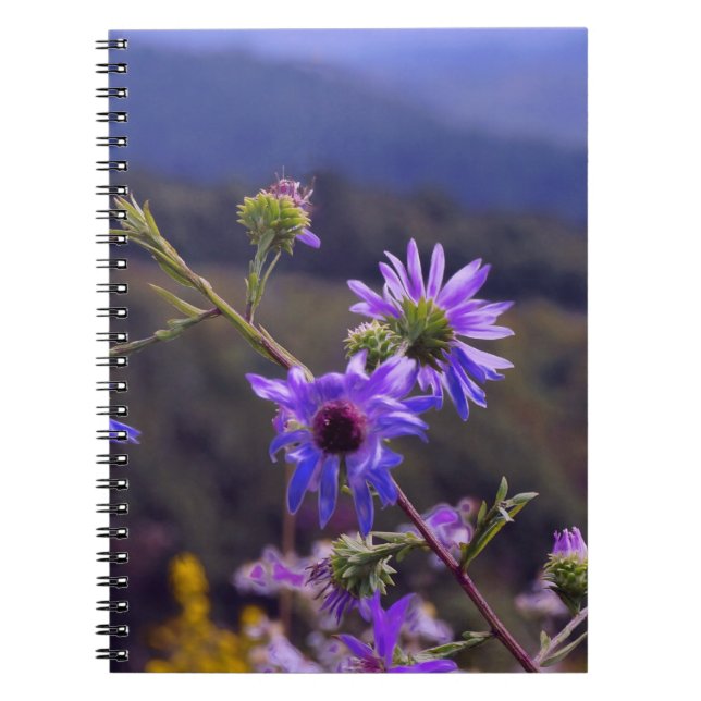 Wildes Aster-Notizbuch Notizblock (Vorderseite)