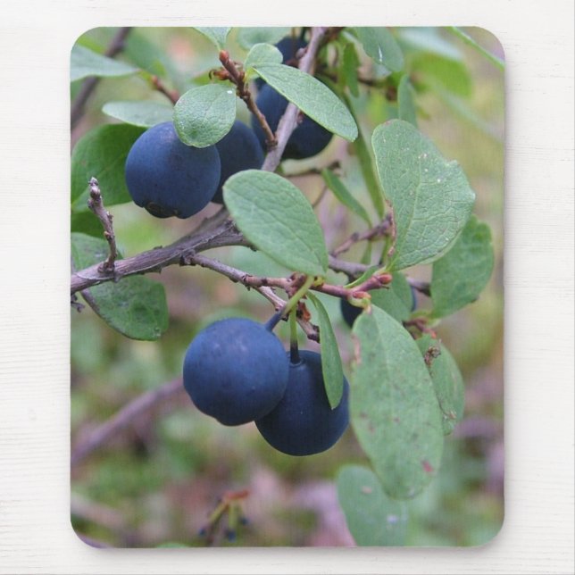 Wildes Beeren mousepad (Vorne)