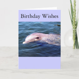 Wildes Dophin Karte